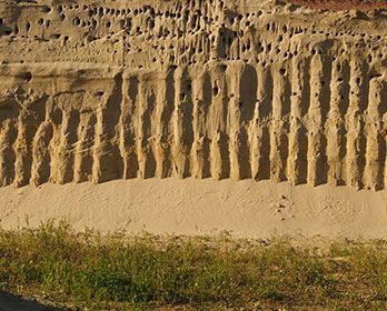 Vertikale Erosionsmuster auf einer sandigen Felswand mit grasbewachsenem Vordergrund.